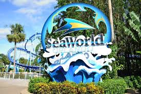 Image result for seaworld orlando